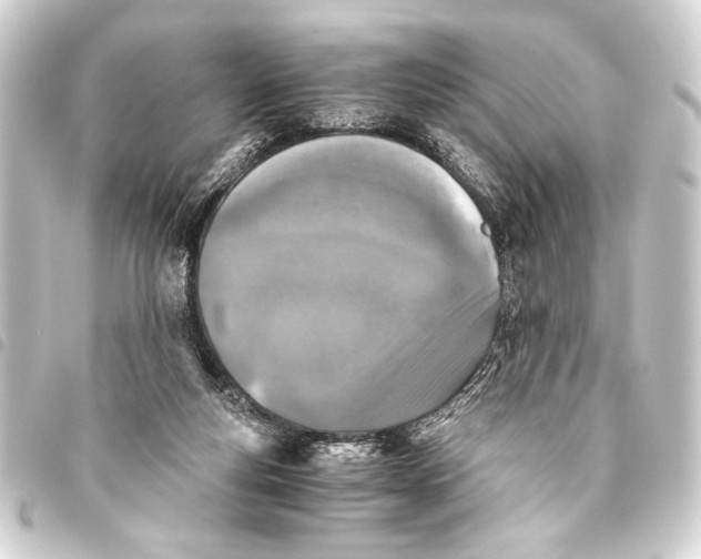 X0000093460163200711021141