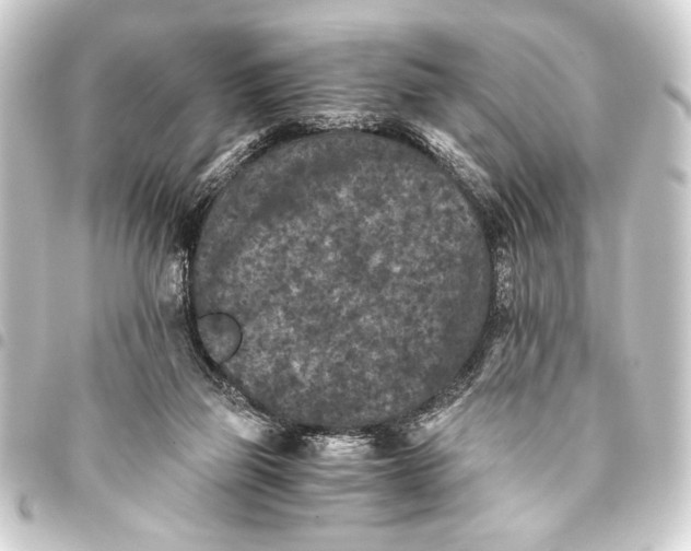 X0000093460165200711021141