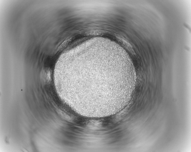 X0000093460166200711021141