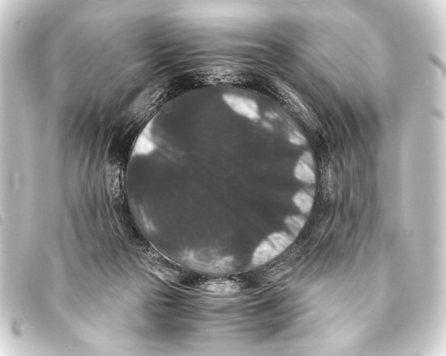 X0000093460169200711021141