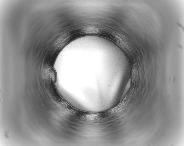 X0000093460172200711021141