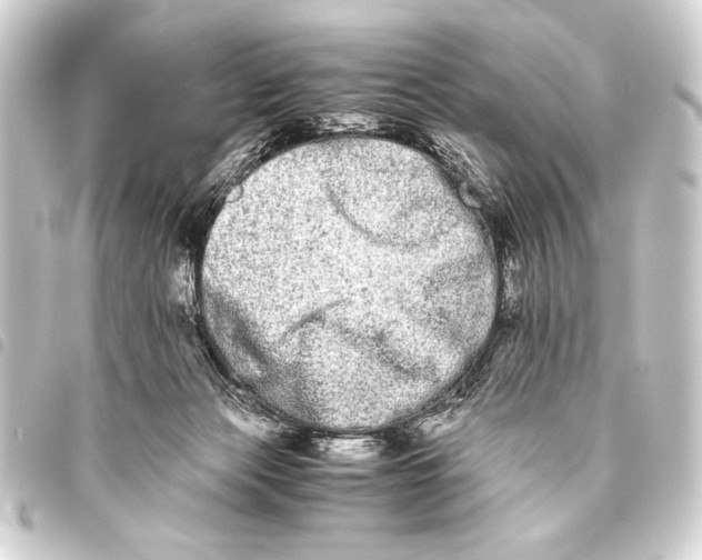 X0000093460173200711021141