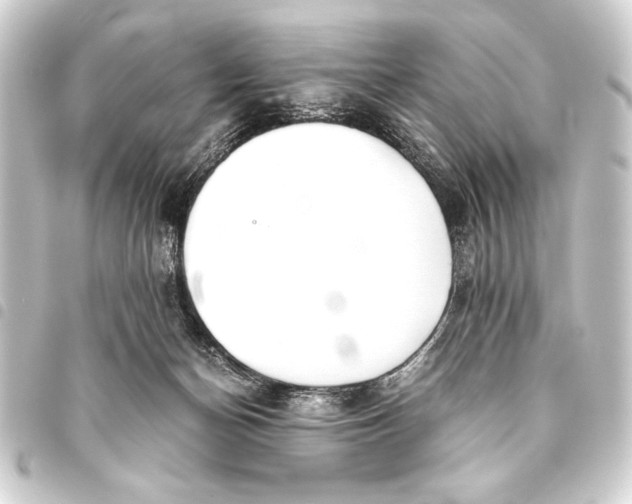 X0000093460174200711021141