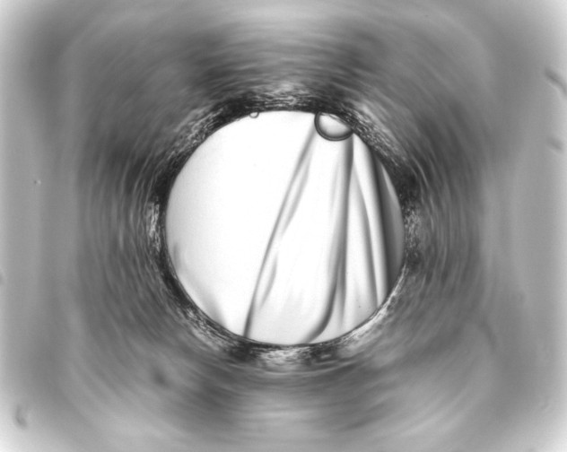 X0000093460178200711021141