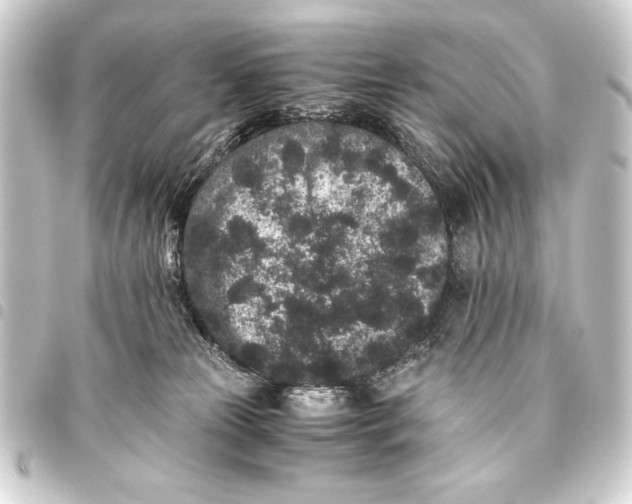 X0000093460181200711021141