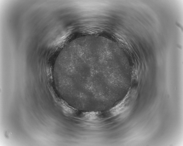 X0000093460182200711021141