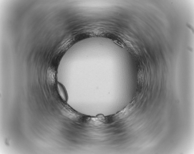 X0000093460188200711021142