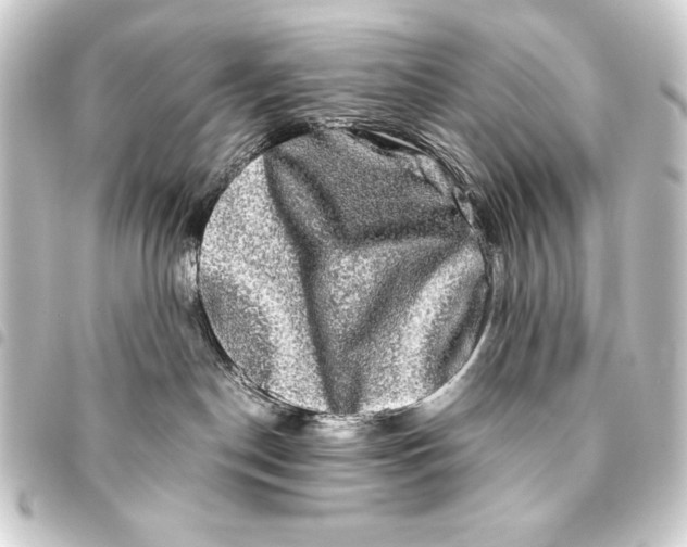 X0000093460190200711021142