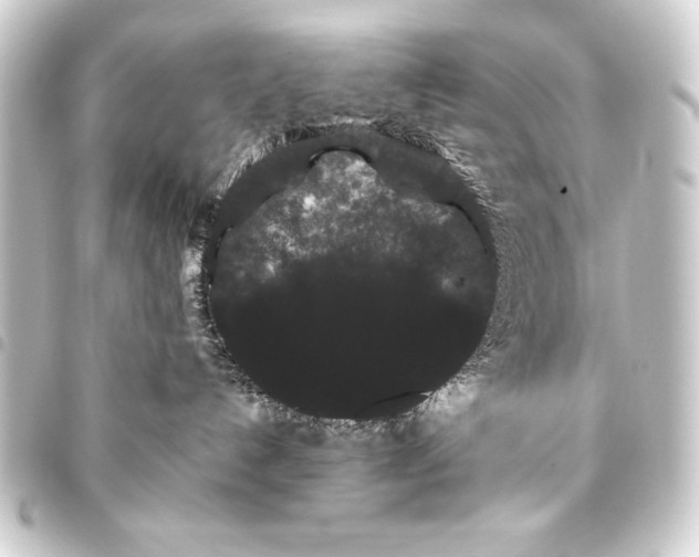 X0000093460192200711021142