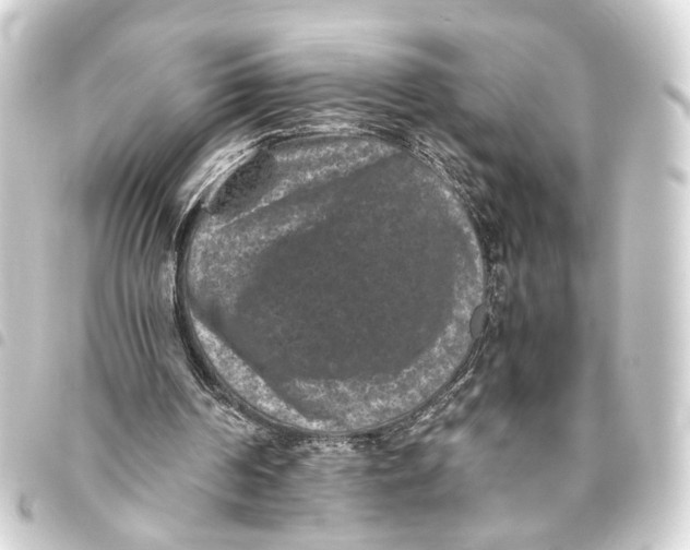 X0000093460194200711021141