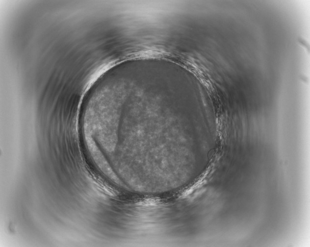 X0000093460196200711021141