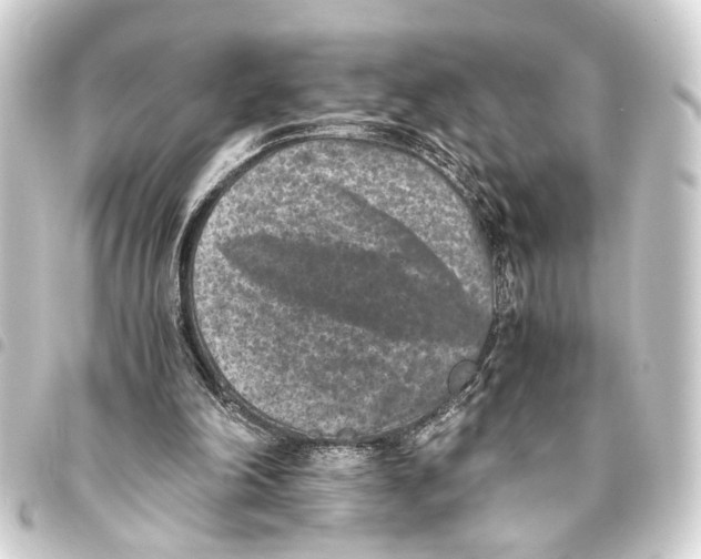 X0000093460198200711021141