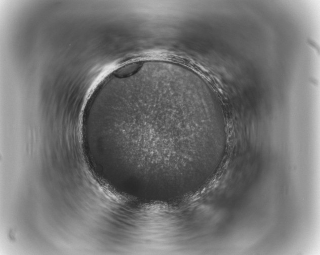 X0000093460200200711021141