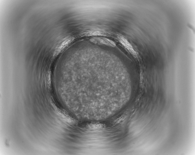 X0000093460202200711021141