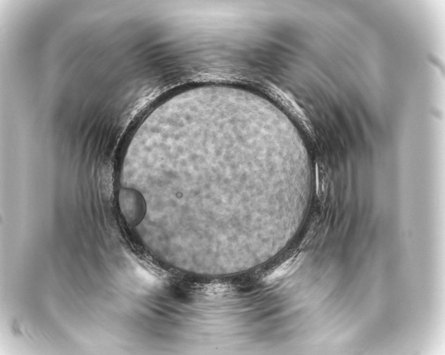 X0000093460204200711021141