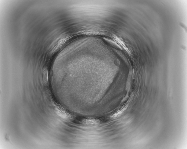 X0000093460205200711021141