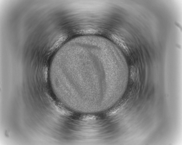 X0000093460206200711021141