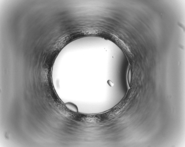 X0000093460209200711021141