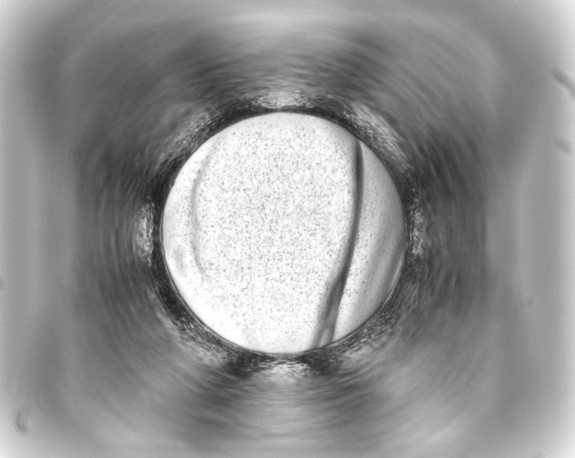 X0000093460210200711021141