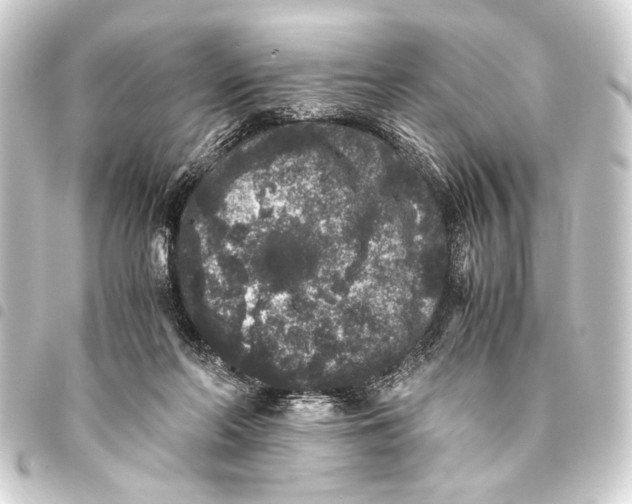 X0000093460214200711021141