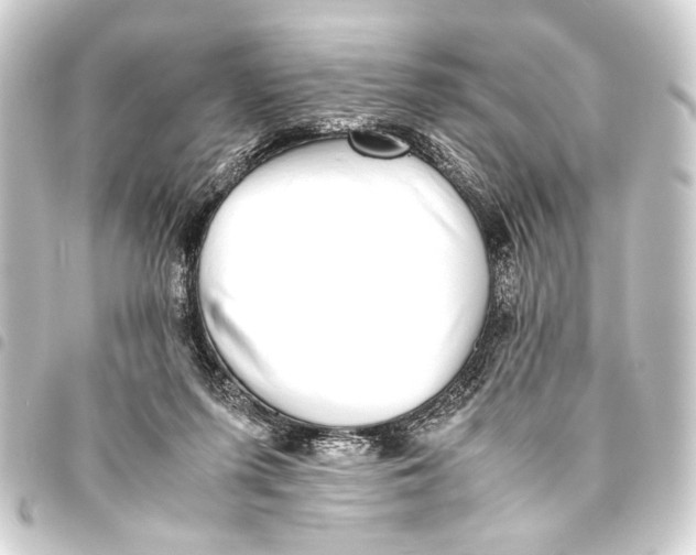 X0000093460215200711021141