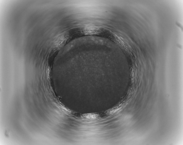 X0000093460219200711021141