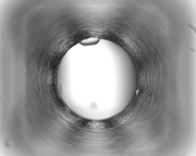 X0000093460221200711021140