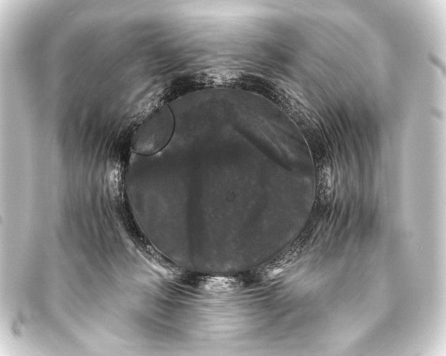 X0000093460222200711021140