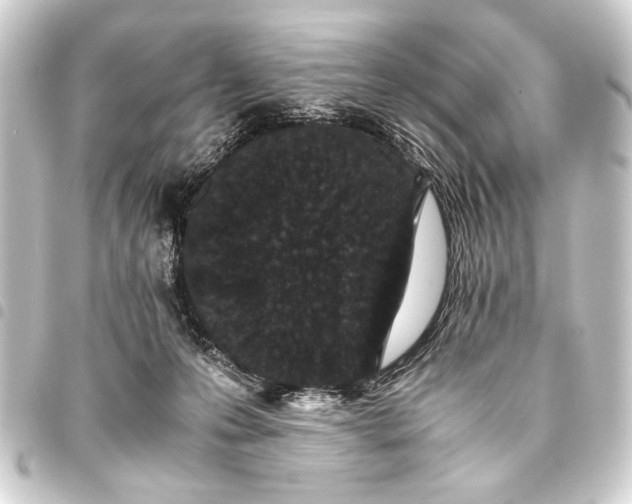 X0000093460223200711021140