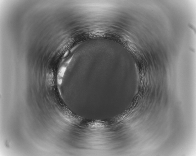 X0000093460224200711021140