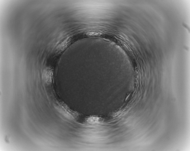 X0000093460227200711021140