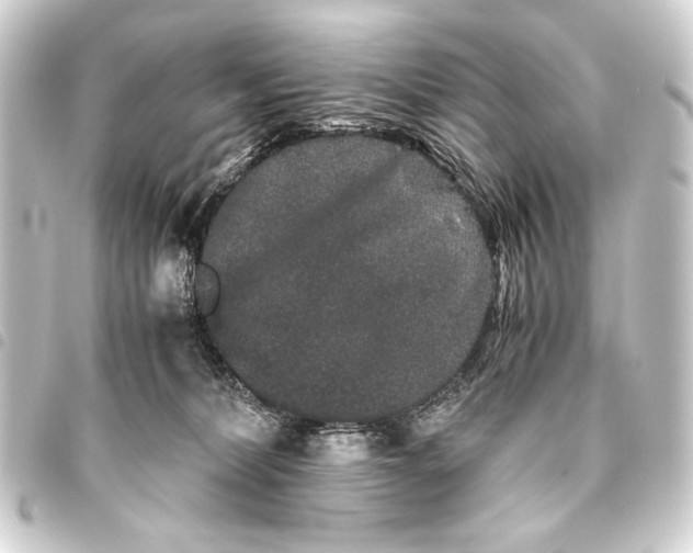 X0000093460228200711021140