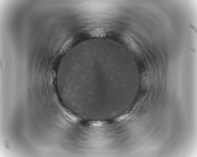 X0000093460229200711021140