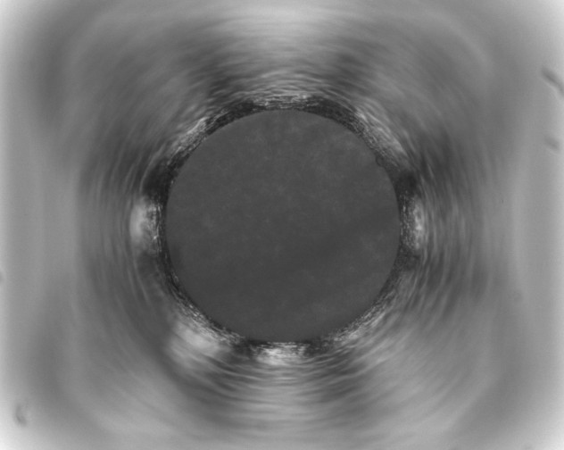 X0000093460232200711021140