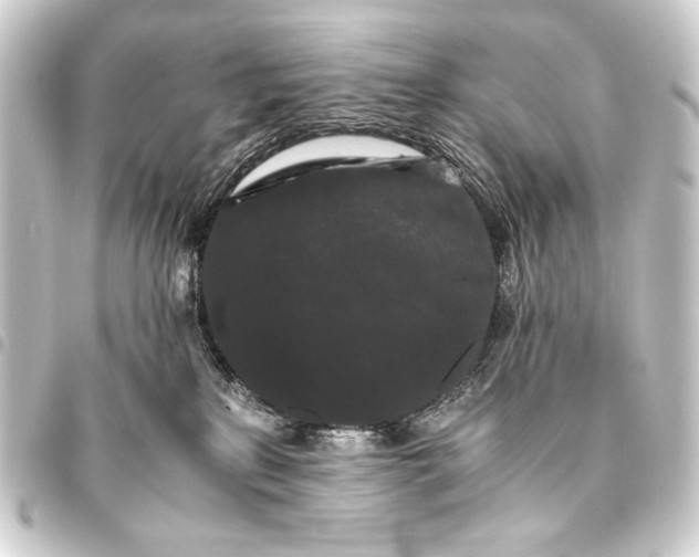 X0000093460233200711021140