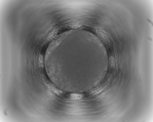 X0000093460234200711021140