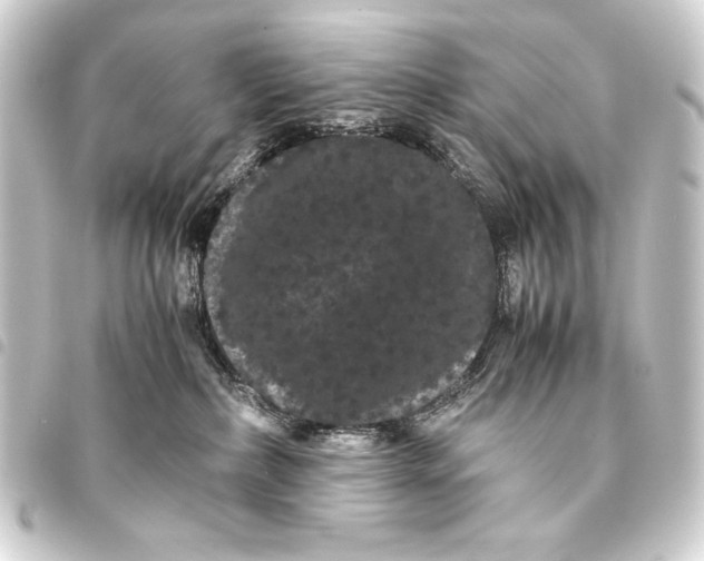 X0000093460236200711021140