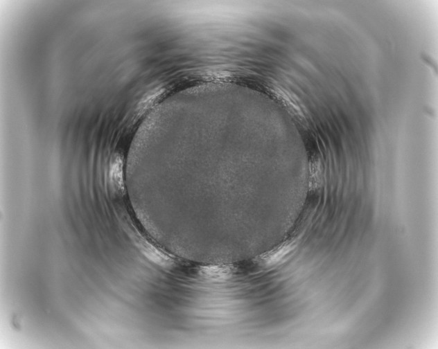 X0000093460238200711021140