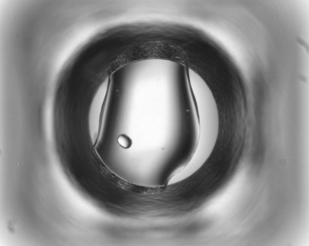 X0000093460239200711021140