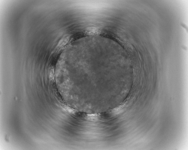 X0000093460240200711021140