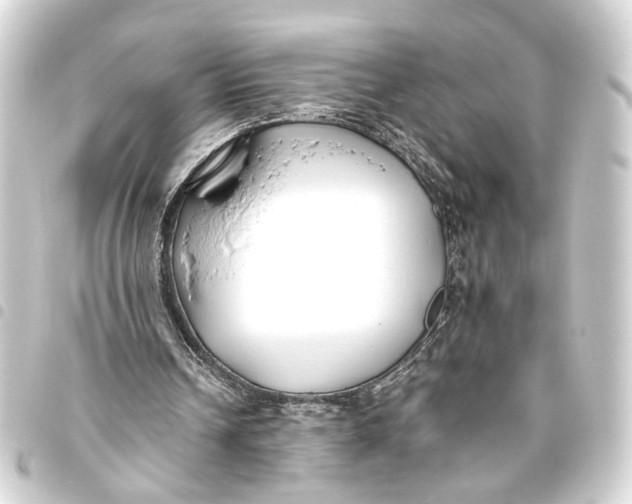 X0000093460242200711021140