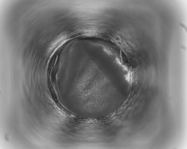 X0000093460243200711021140