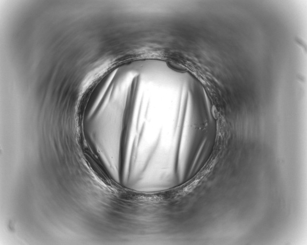 X0000093460245200711021140