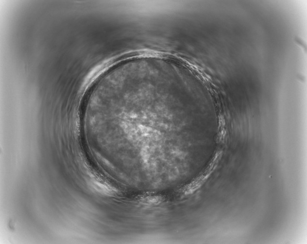 X0000093460247200711021140