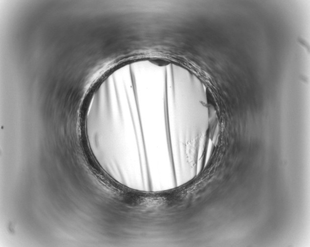 X0000093460248200711021140