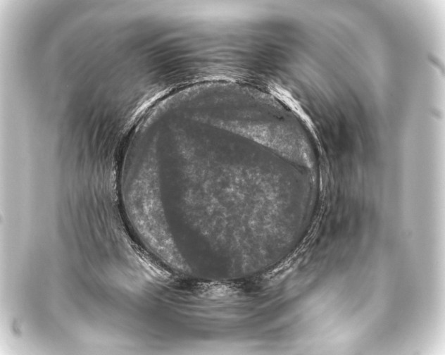 X0000093460249200711021140