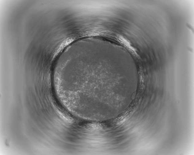 X0000093460250200711021140