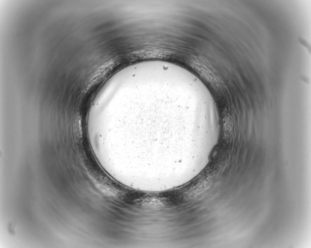 X0000093460254200711021140