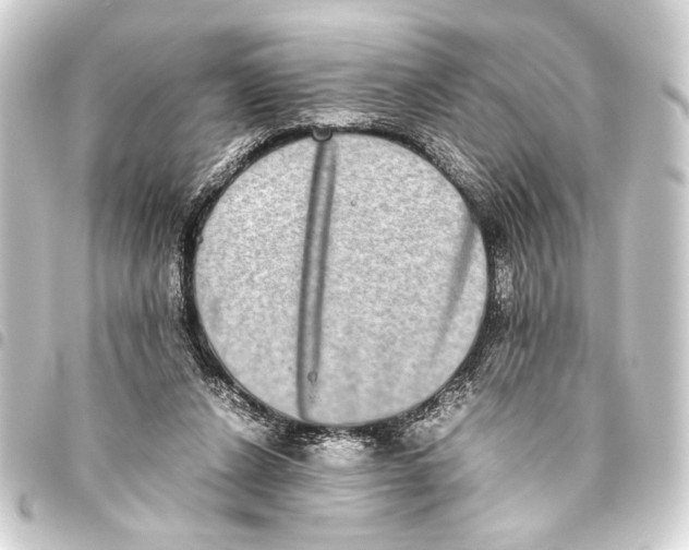 X0000093460256200711021140