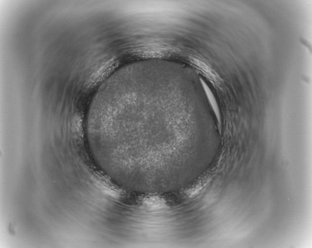 X0000093460258200711021140